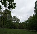 tannenfeld-sommer 2012-067